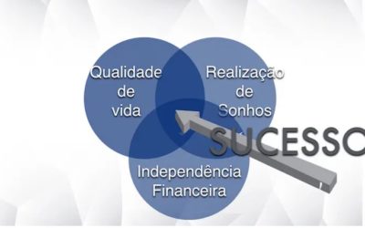 Você é um profissional de sucesso?