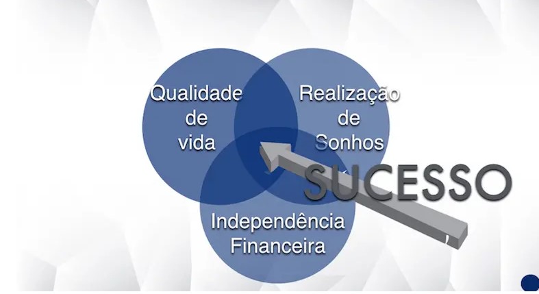 Você é um profissional de sucesso?